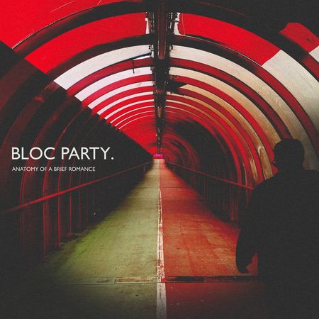 Bloc Party: Anatomy of a Brief Romance cover